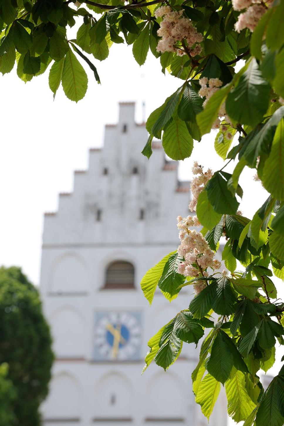 Landhotel Schlappinger-Hof Reisbach Bagian luar foto